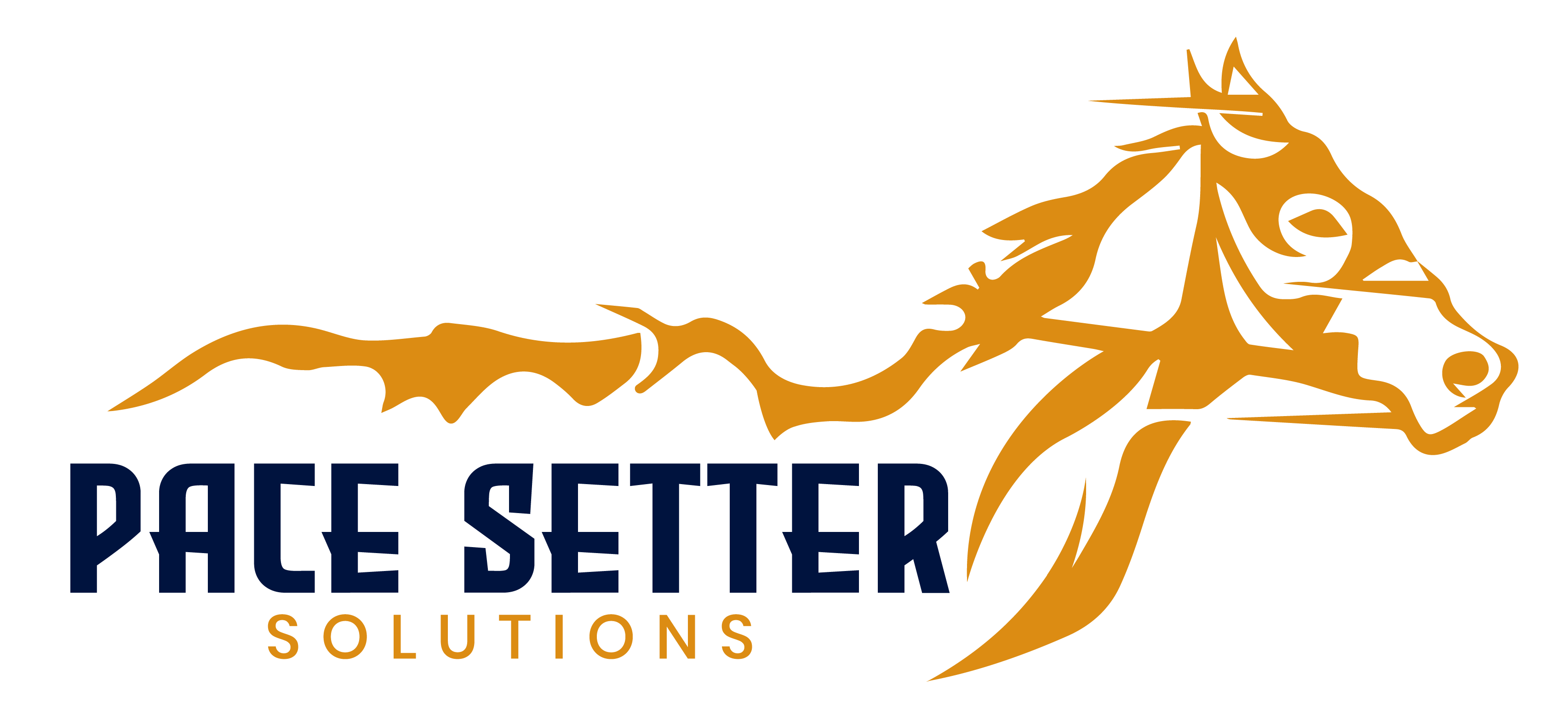 pace setter solutions logo